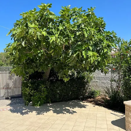 Вилла Buganvilla Sul Mare Indipendente Con Parcheggio Privato